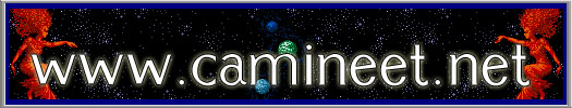 Camineet Main Logo